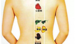 拔罐怎么拔视频教程,视频教程详解